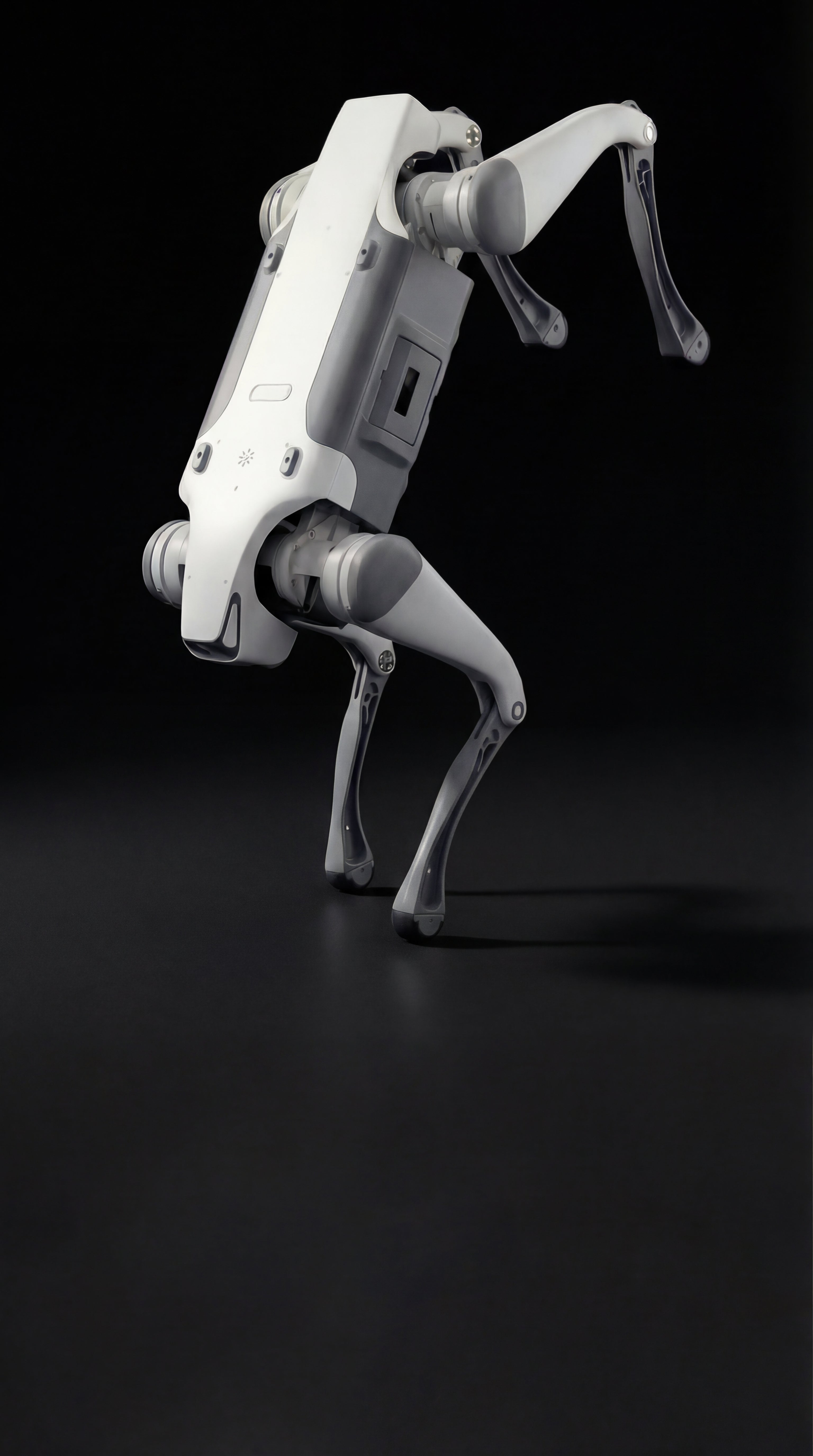 A DEEP Robotics Lite3 quadruped robot, a sophisticated AI-powered legged robot, standing on a dark surface. The robot is white and grey, designed for advanced robotics research, education, and various industrial applications such as autonomous inspection and navigation in complex environments. It features a modular design and advanced mobility capabilities.
