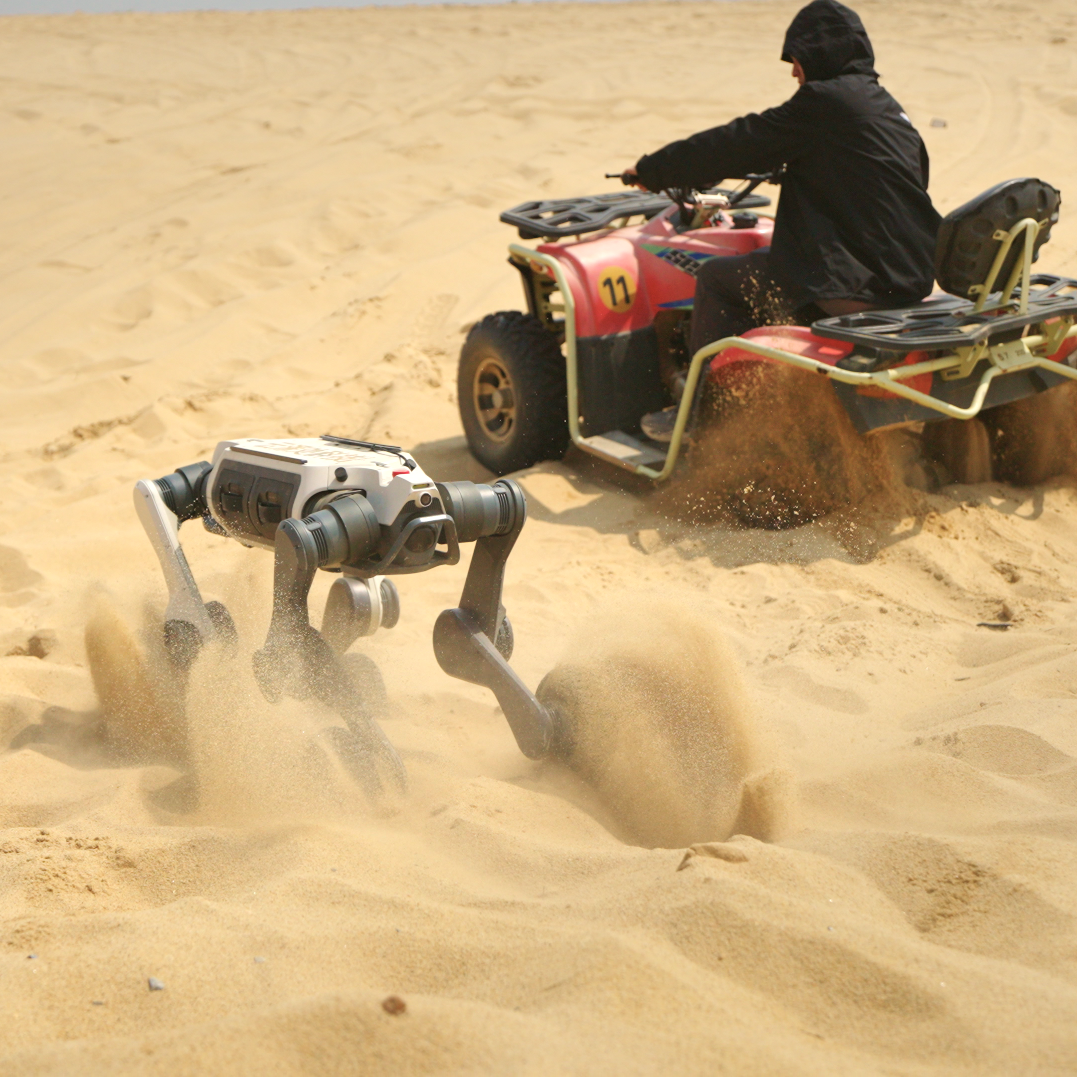 The DEEP Robotics Lynx M20 Pro wheeled-legged quadruped robot navigates a sandy desert environment, kicking up sand as an ATV drives in the background. This image demonstrates the robot's advanced all-terrain mobility and IP66 dustproof capabilities for industrial inspection, emergency response, and scientific exploration in extreme conditions. Equipped with LiDAR for autonomous navigation, the Lynx M20 Pro is designed for challenging terrains.