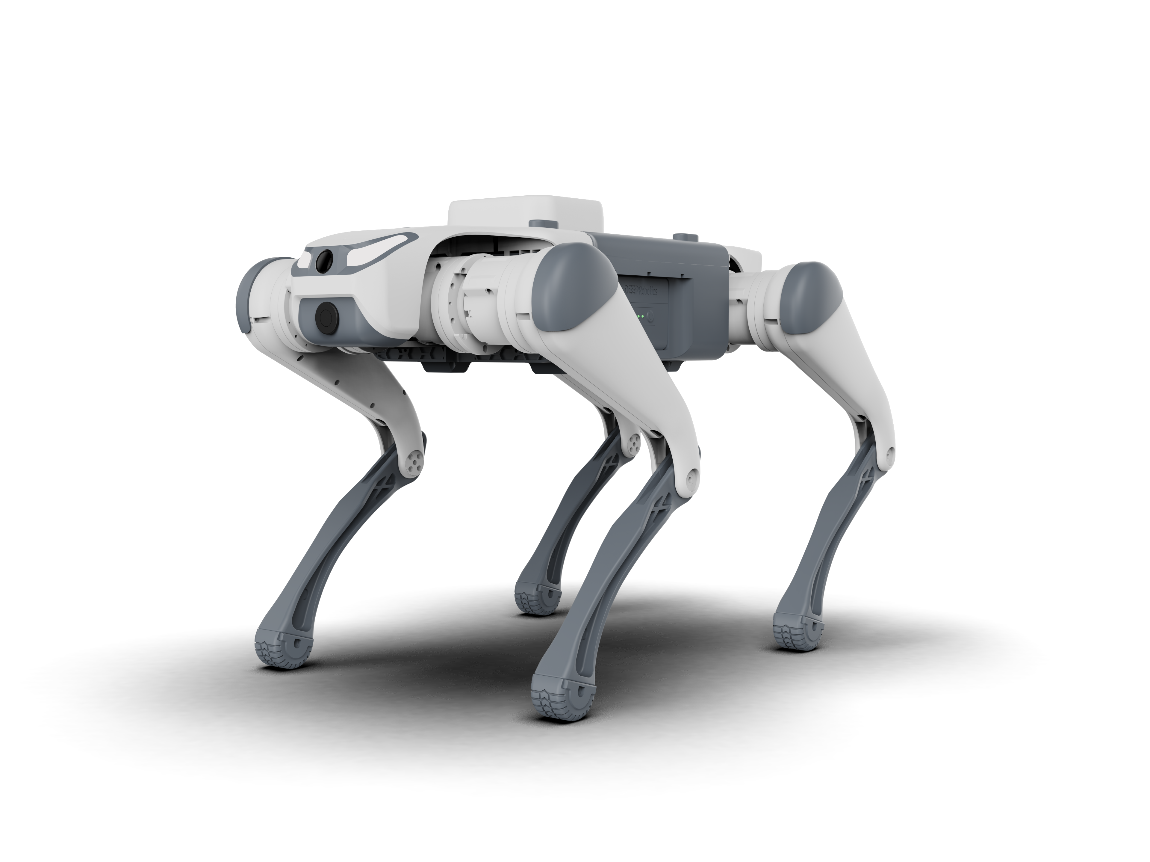 Quadruped Robots