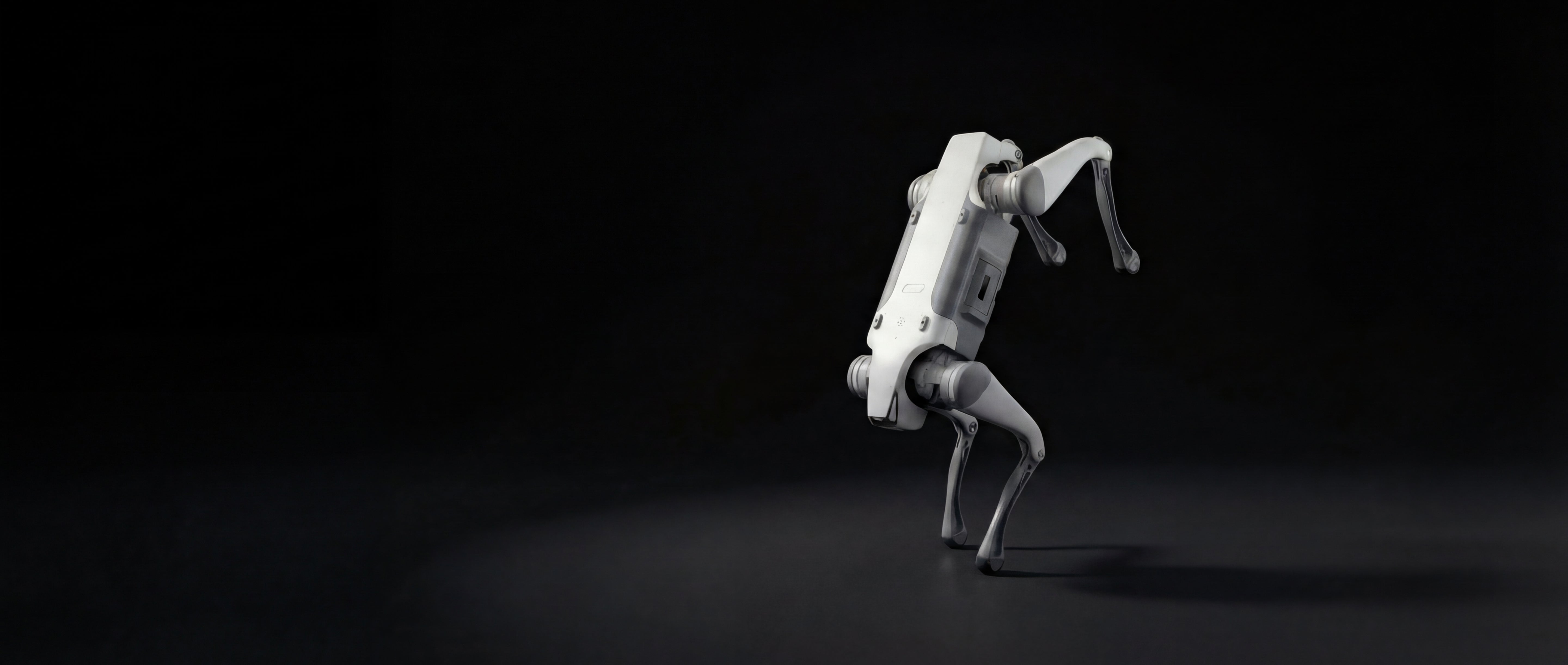 DEEP Robotic Lite3 quadruped robot, a white and grey four-legged robot, standing on a dark surface. This agile robot is designed for academic research, industrial inspection, and search and rescue, featuring advanced AI-driven mobility, real-time control, and modular expansion for tasks like autonomous navigation, obstacle avoidance, and 3D mapping.