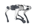 DEEP Robotics Lite3 Basic quadruped robot, a versatile robot dog designed for education and research. This agile, four-legged robot features advanced motion control, obstacle avoidance, and an open modular structure, making it ideal for developing AI-powered autonomous movement, industrial inspection, and navigating complex terrains.
