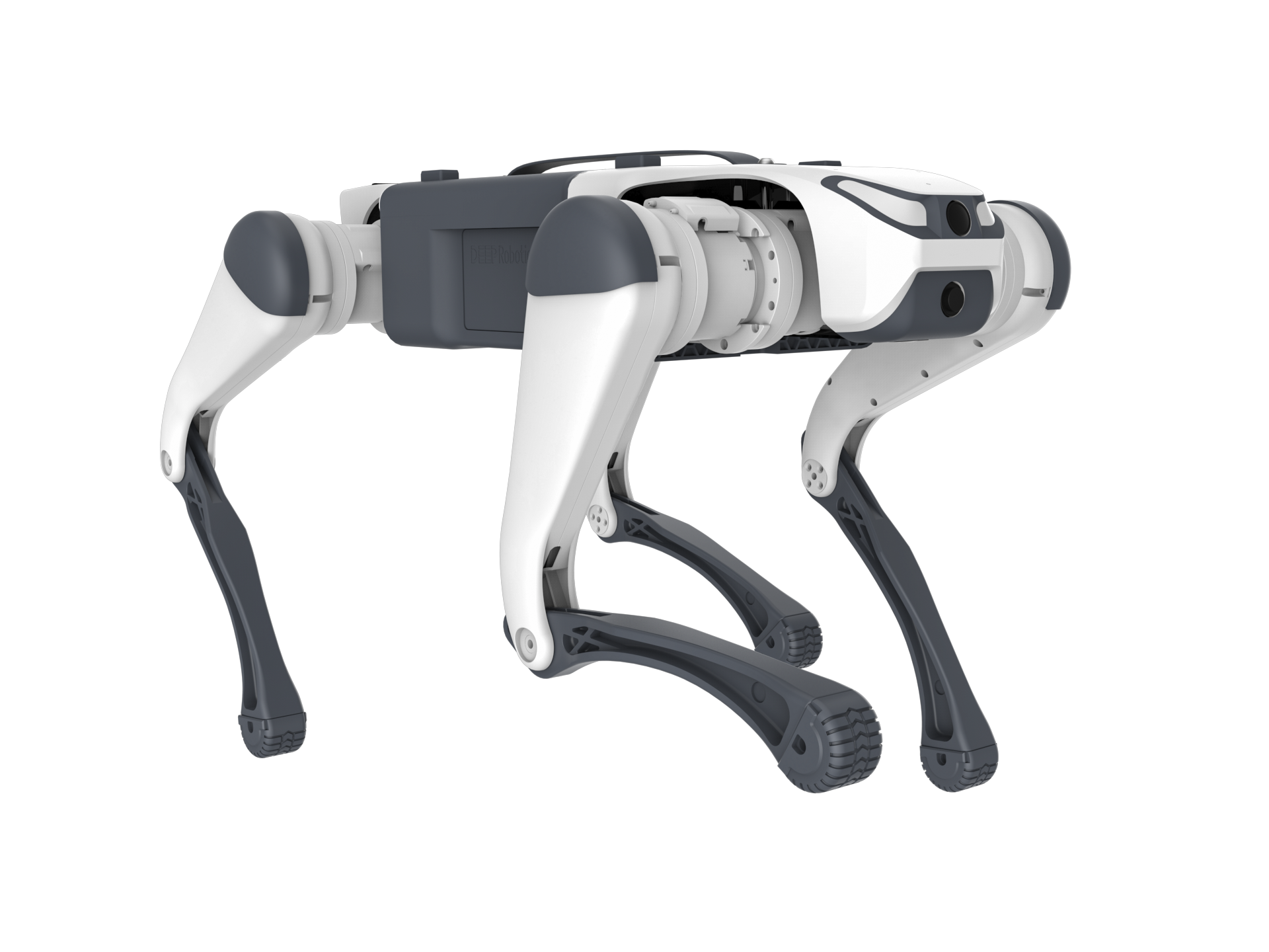 DEEP Robotics Lite3 Basic quadruped robot, a versatile robot dog designed for education and research. This agile, four-legged robot features advanced motion control, obstacle avoidance, and an open modular structure, making it ideal for developing AI-powered autonomous movement, industrial inspection, and navigating complex terrains.