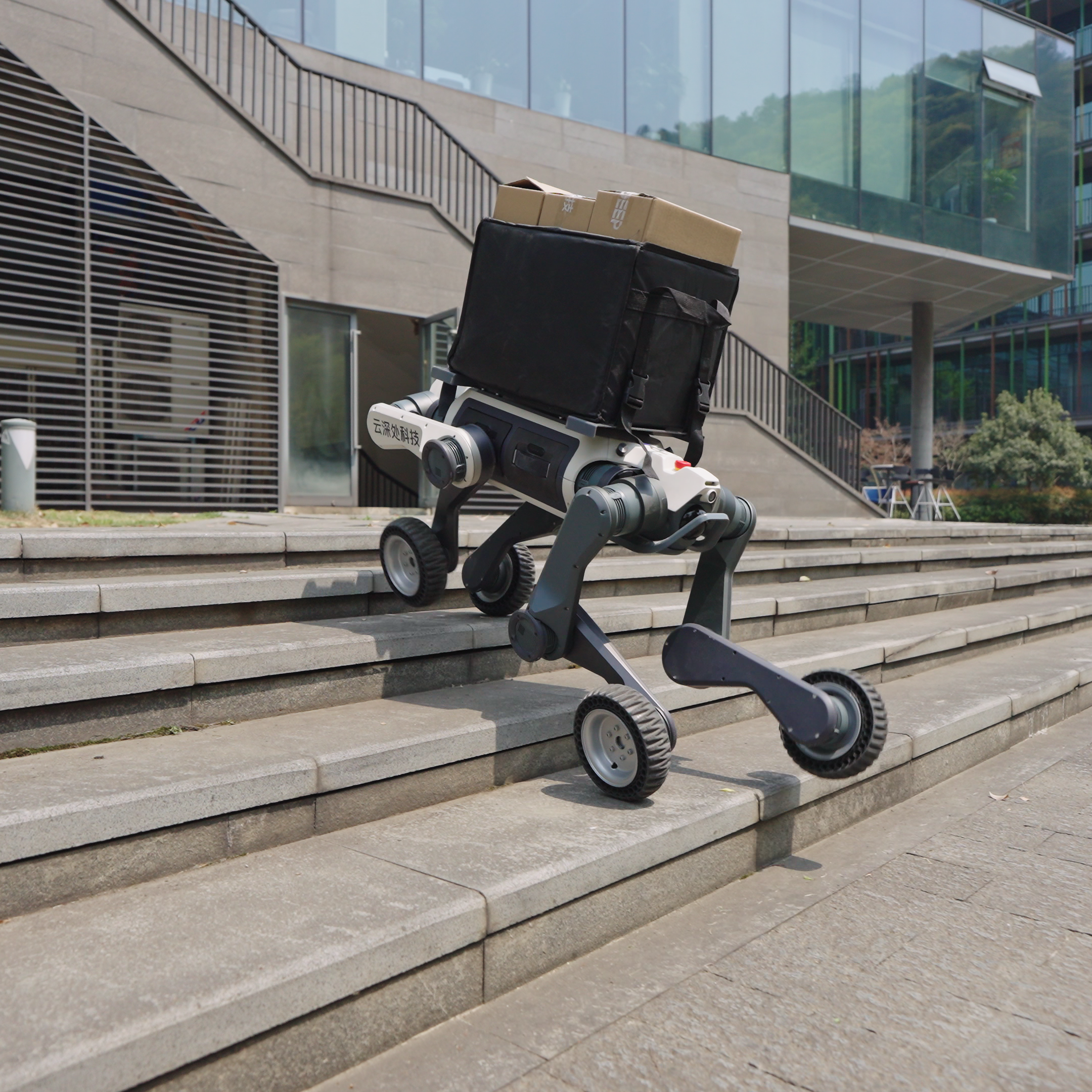 A DEEP Robotics Lynx M20 Pro wheel-legged quadruped robot, equipped with a black delivery bag and a cardboard box, autonomously ascends a set of concrete stairs outdoors. The robot demonstrates its hybrid locomotion by using its wheels and articulated legs to navigate the uneven terrain, showcasing its capability for last-mile delivery and industrial logistics in complex environments.