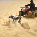 A DEEP Robotics Lynx M20 Pro wheel-legged quadruped robot traverses sandy desert terrain, kicking up dust, with a person riding a red ATV in the background also stirring up sand. The robot demonstrates its multi-terrain adaptability and autonomous navigation capabilities in extreme environments, equipped with features like LiDAR and an IP66 rating for industrial inspection and scientific exploration.