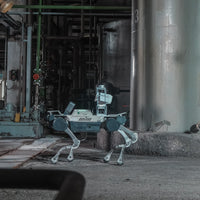 DEEP Robotics X30 Pro quadruped robot performing autonomous industrial inspection in a factory setting. The robot is equipped with an HD camera and an acoustic camera for detecting leaks and anomalies, utilizing advanced navigation systems like LiDAR for precise localization and obstacle avoidance in complex and potentially hazardous environments.