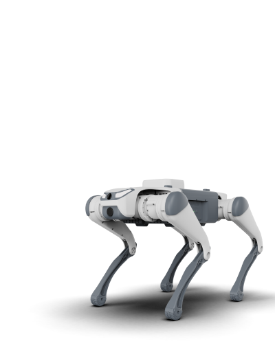 Quadruped Robots